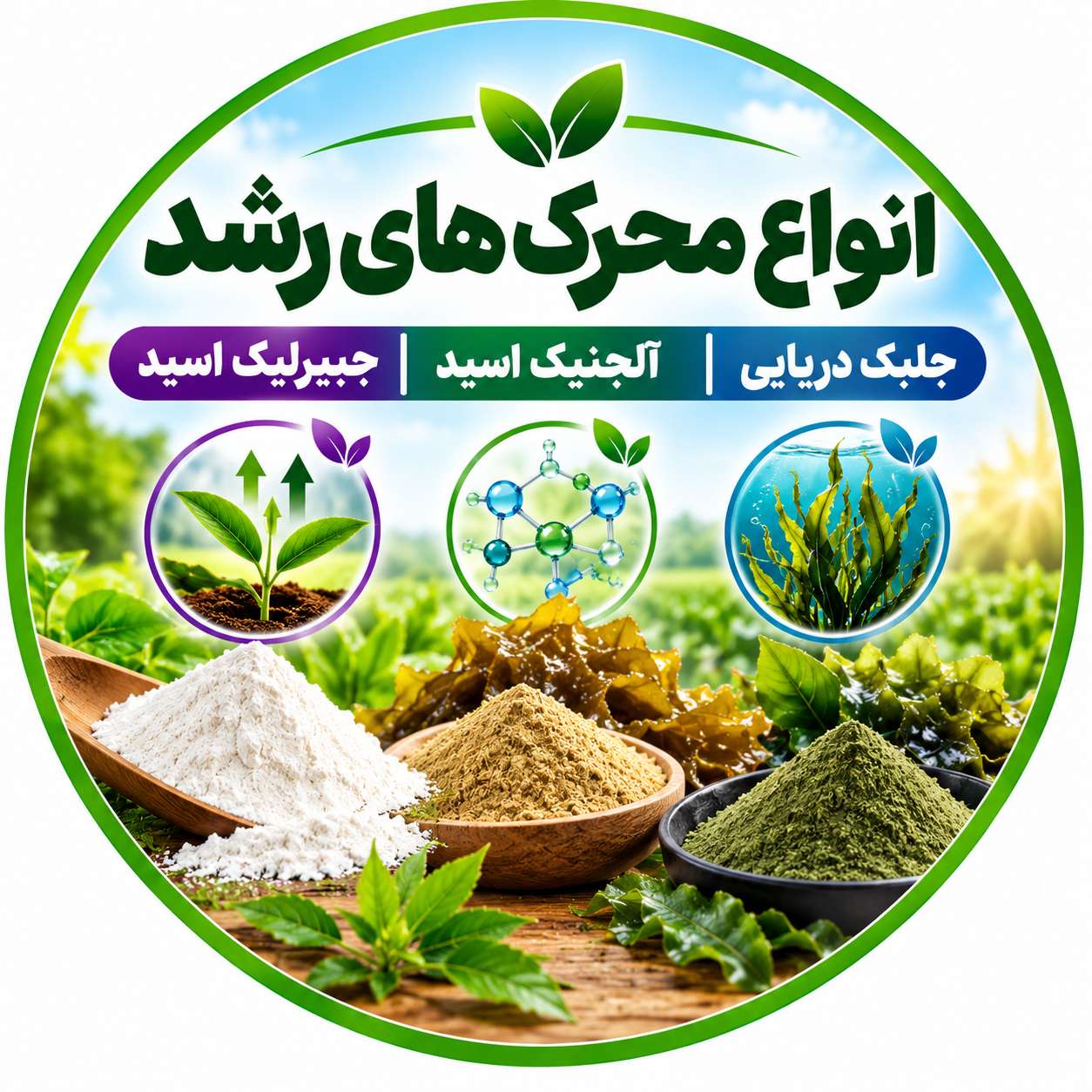 انواع محرک های رشد ( جلبک دریایی | آلجنیک اسید | جیبرلیک اسید )