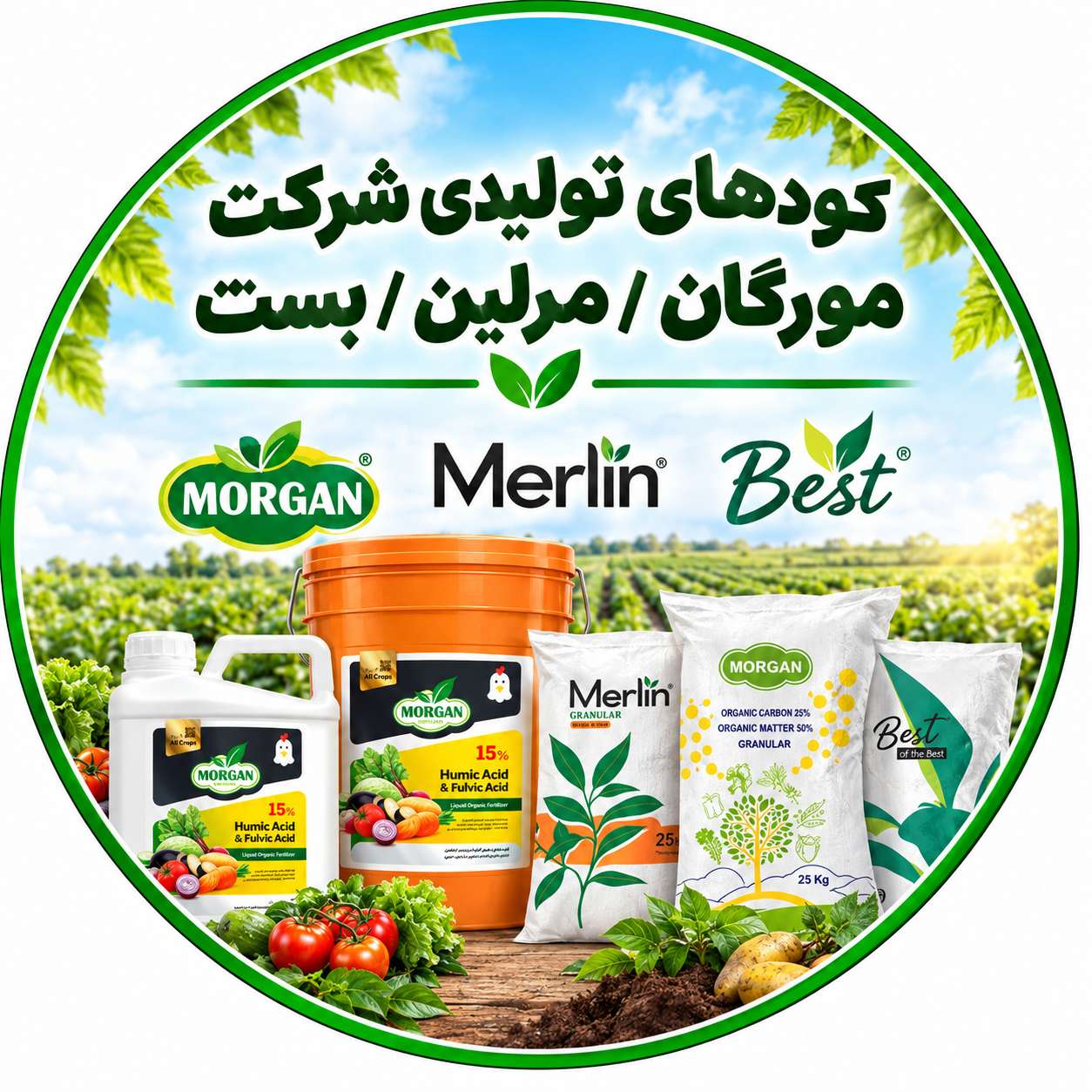 محصولات تولیدی شرکت اکسیر(مورگان | مرلین | best of the best)