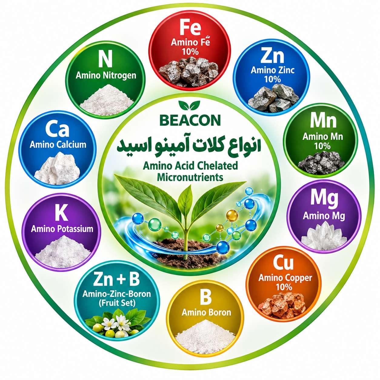 انواع کلات آمینو اسید
