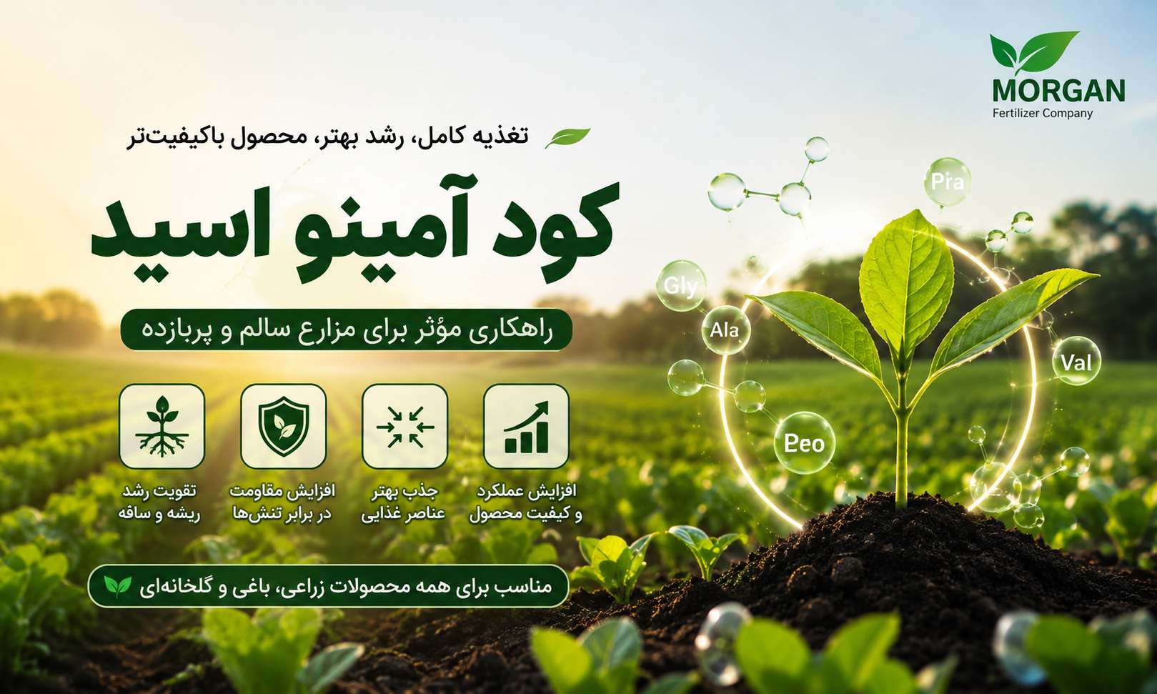 کود آمینو اسید برای مزارع؛ فواید، نحوه مصرف و بهترین زمان استفاده