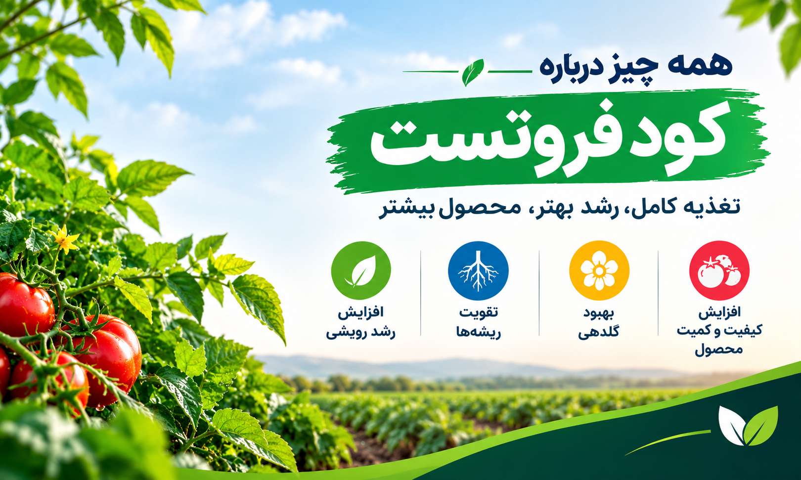 کود فروت ست چیست؟ خواص، ترکیبات و نقش آن در افزایش تشکیل میوه