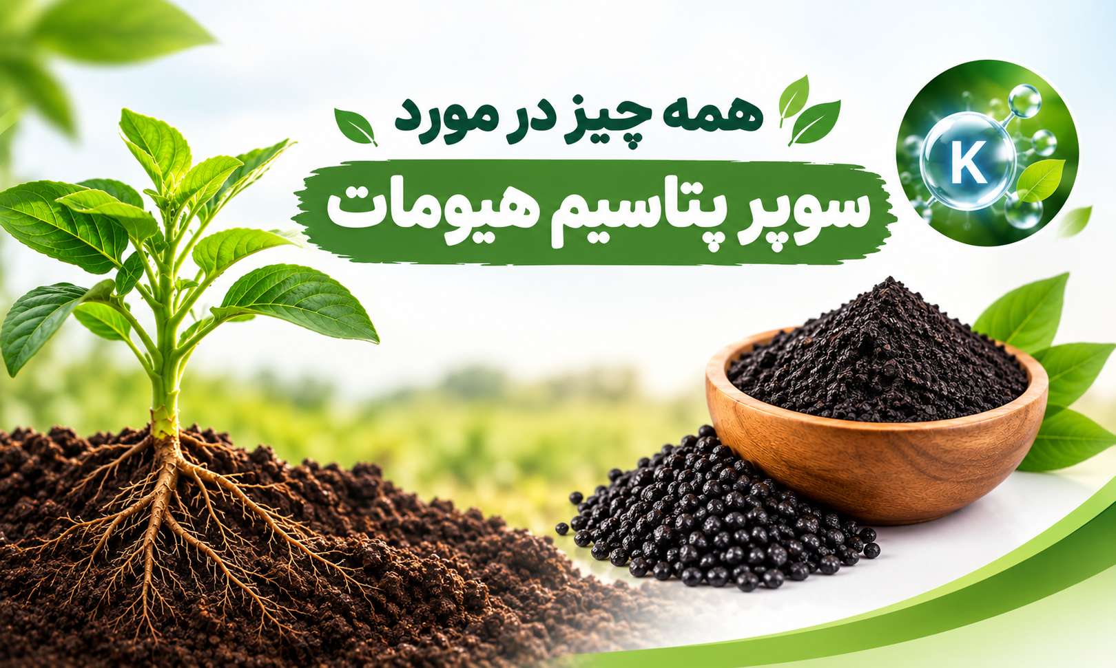 کود سوپر پتاسیم هیومات | خواص، مزایا و روش مصرف