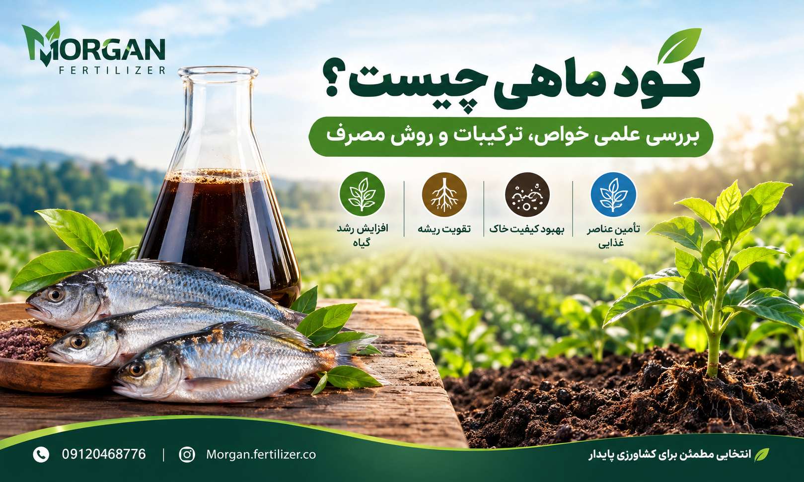 کود ماهی چیست؟ خواص، ترکیبات، روش و بهترین زمان مصرف