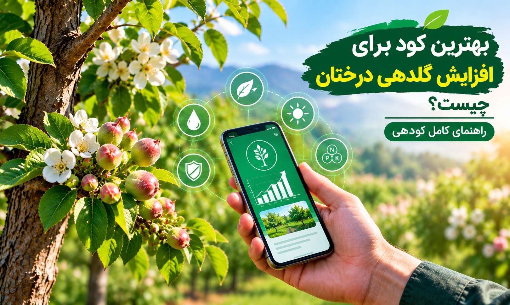 بهترین کود برای افزایش گلدهی درختان چیست؟ | راهنمای کامل