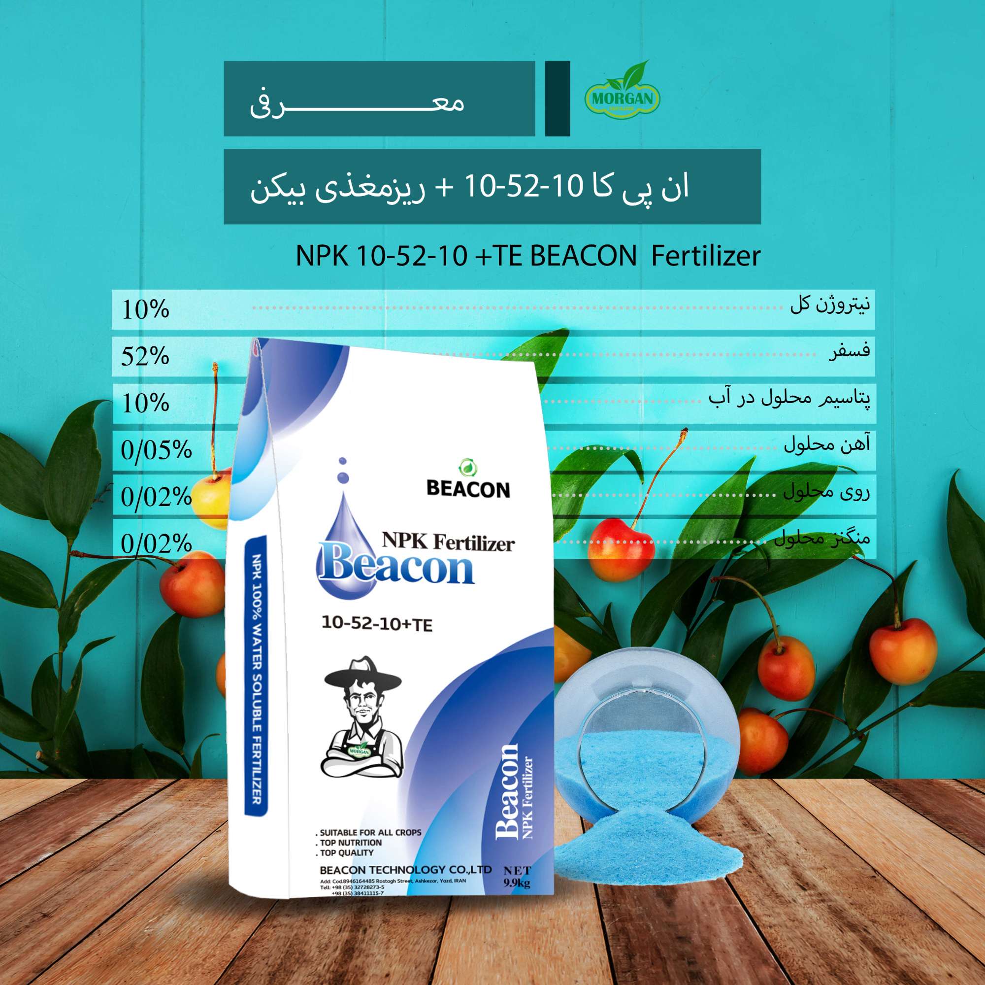 NPK (10-52-10) BEACON