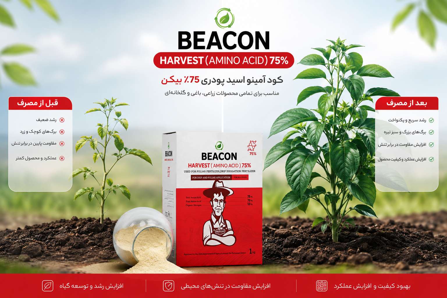 آمینو اسید 75 درصد بیکن