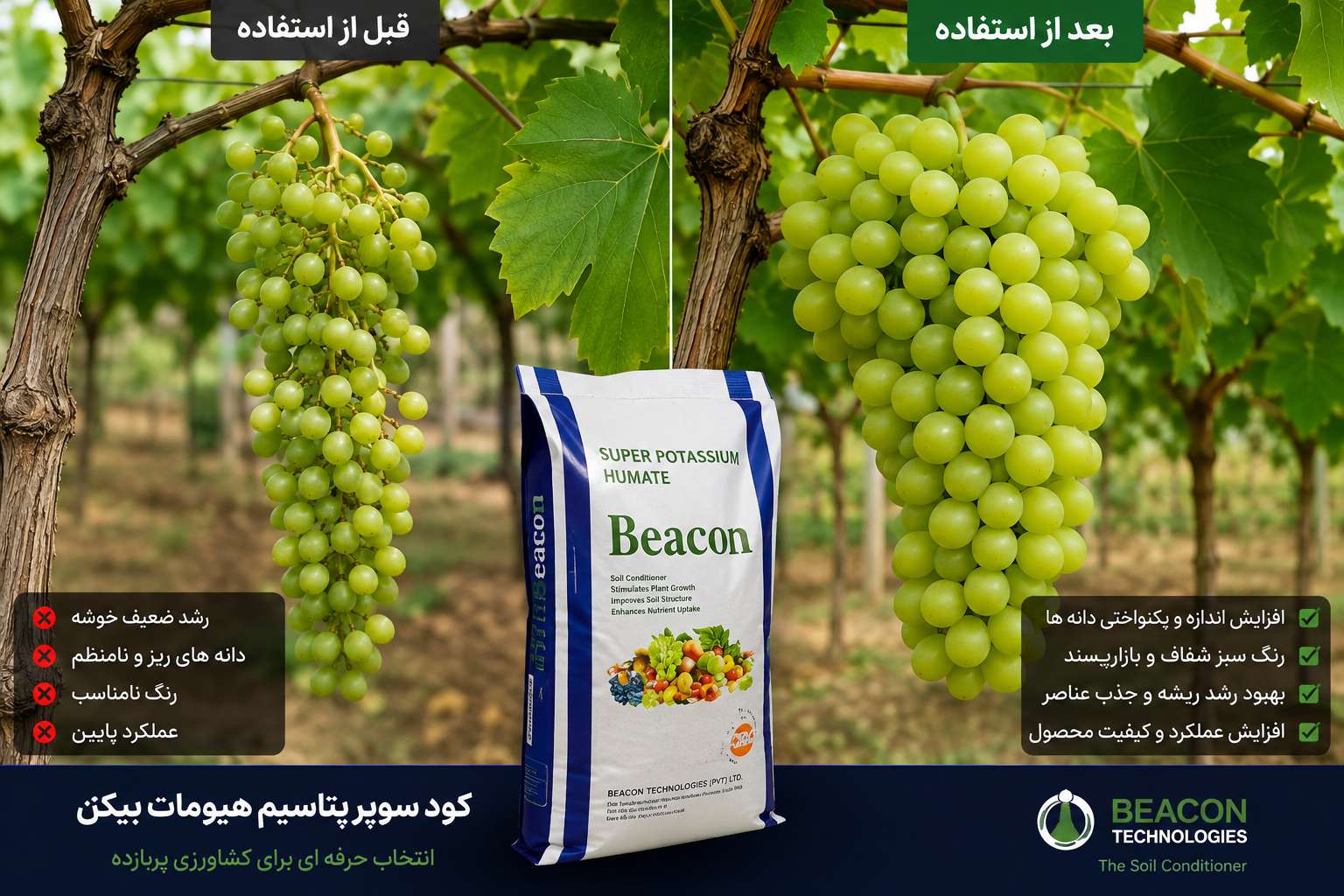 سوپر پتاسیم هیومات بیکن