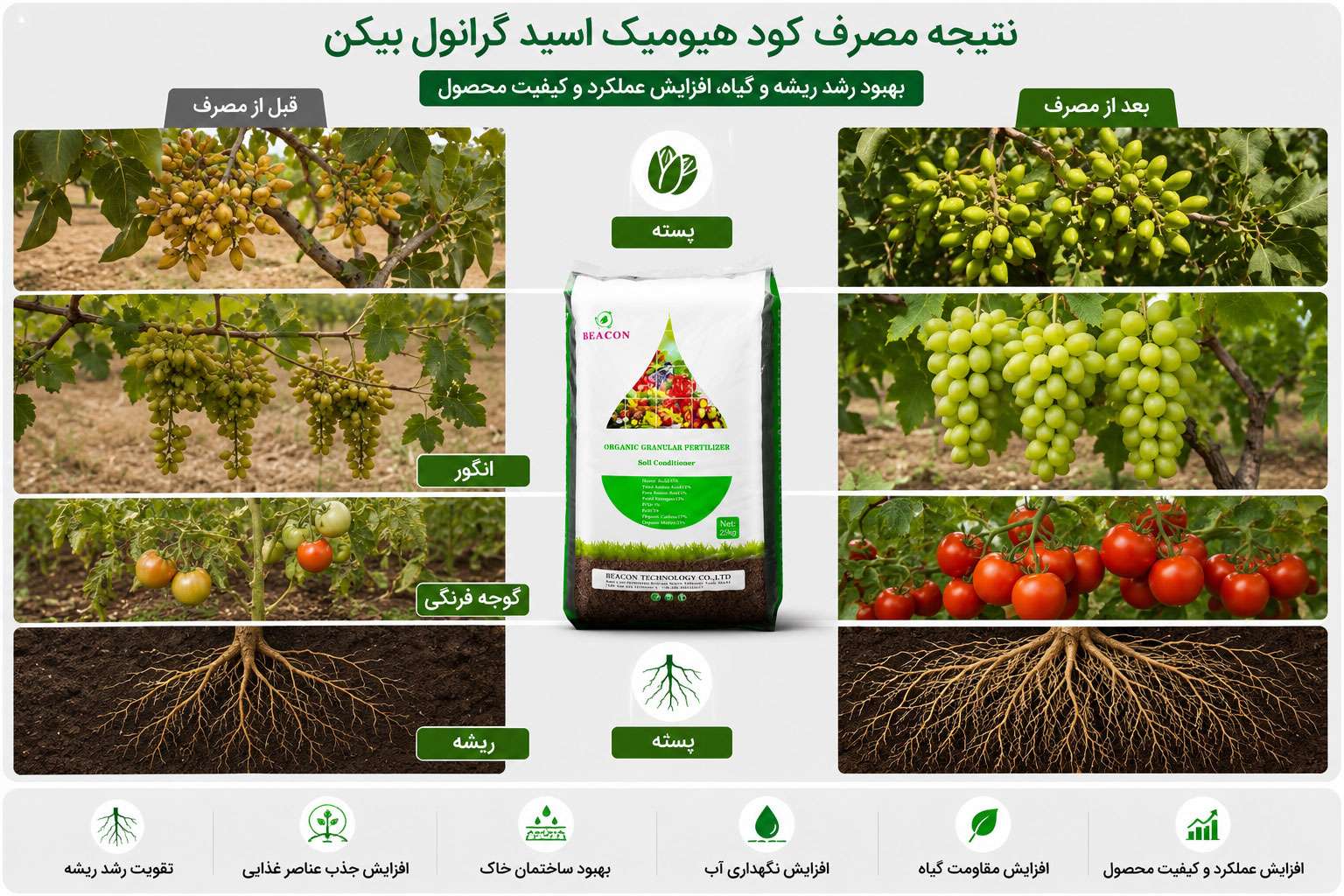 هیومیک اسید گرانول بیکن